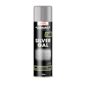 Concept Silver Gal Aerosol 400g