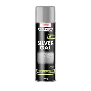 Concept Silver Gal Aerosol 400g